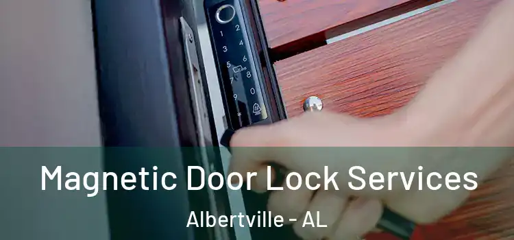 Magnetic Door Lock Services Albertville - AL